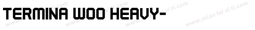 Termina W00 Heavy字体转换